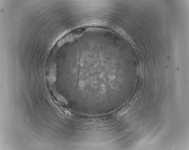 X0000075830434200609291426