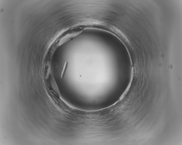 X0000075830436200609291426