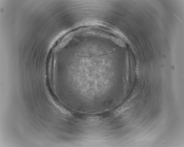 X0000075830438200609291426