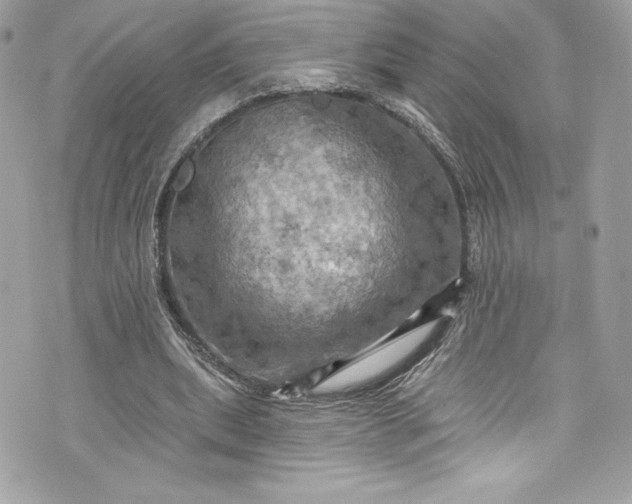 X0000075830439200609291426