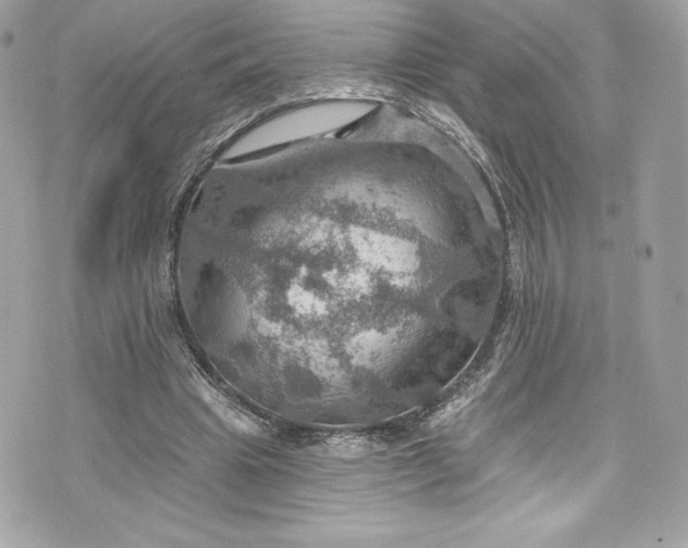 X0000075830441200609291426