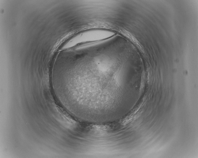 X0000075830442200609291426