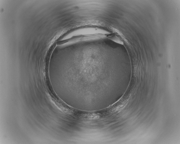 X0000075830443200609291426