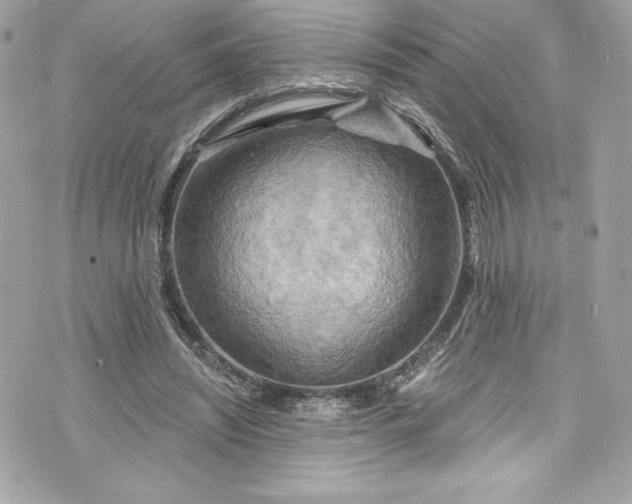 X0000075830444200609291426