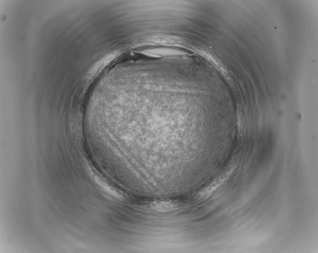 X0000075830445200609291426