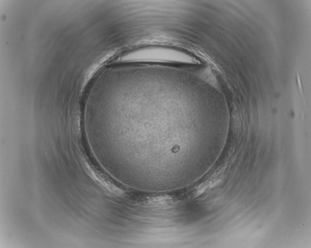 X0000075830446200609291426