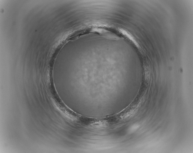 X0000075830447200609291426