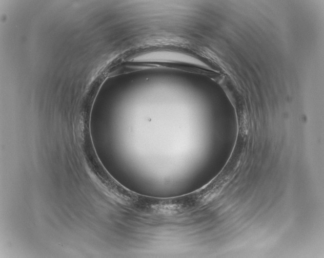 X0000075830448200609291426