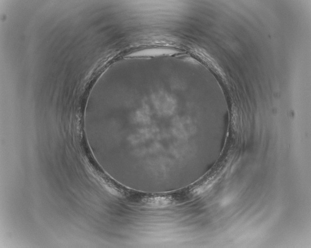 X0000075830449200609291426