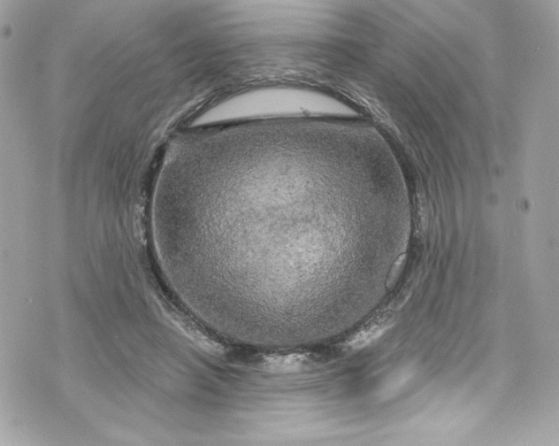 X0000075830450200609291426