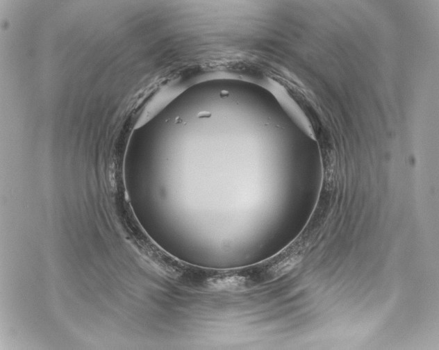 X0000075830452200609291426