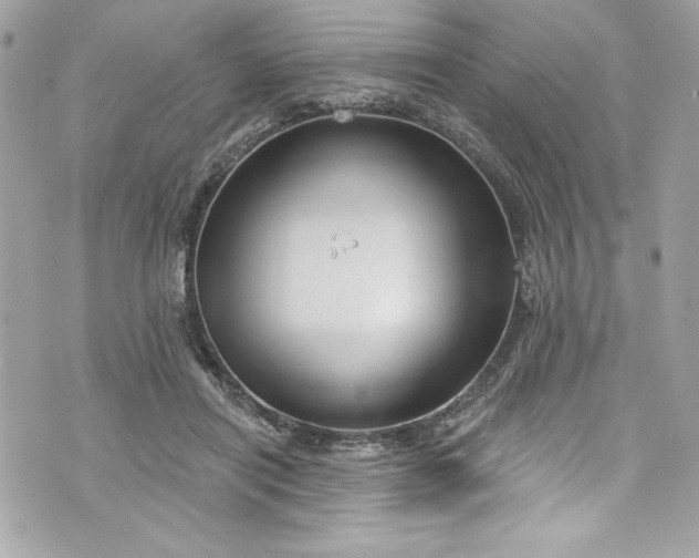 X0000075830454200609291426