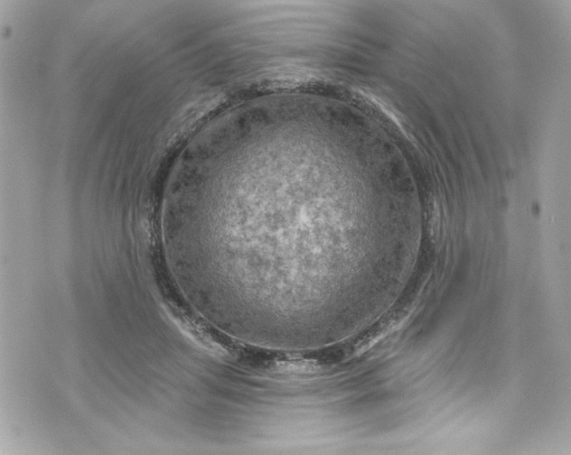 X0000075830455200609291426