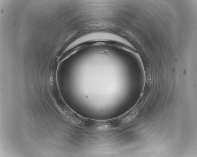 X0000075830456200609291426