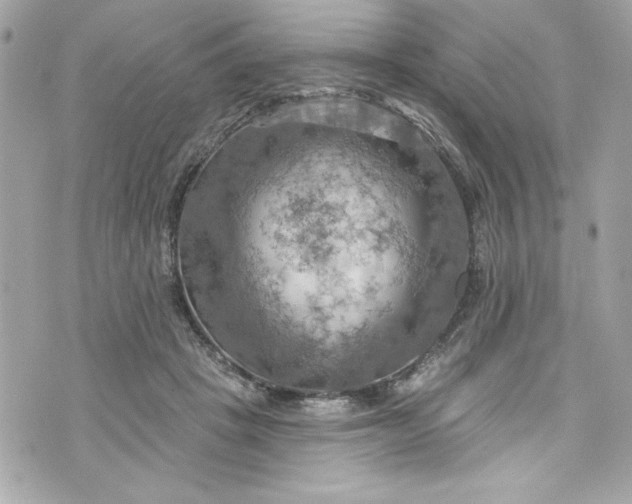 X0000075830457200609291426