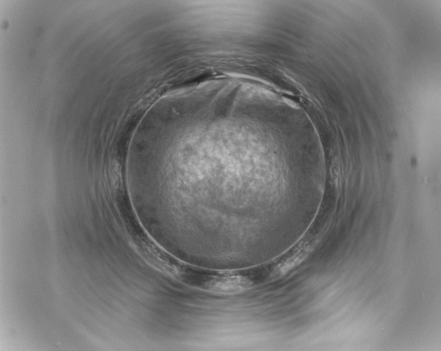 X0000075830459200609291426