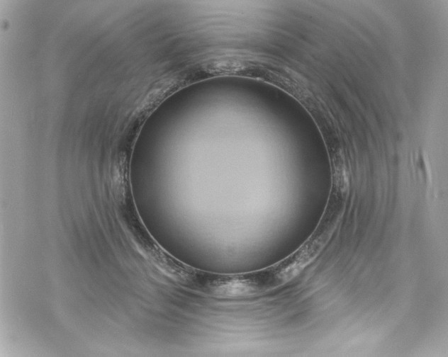 X0000075830460200609291426