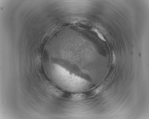 X0000075830461200609291426