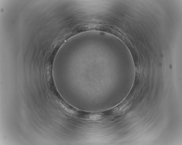 X0000075830462200609291426