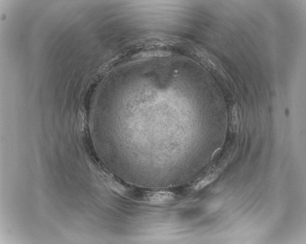 X0000075830463200609291426