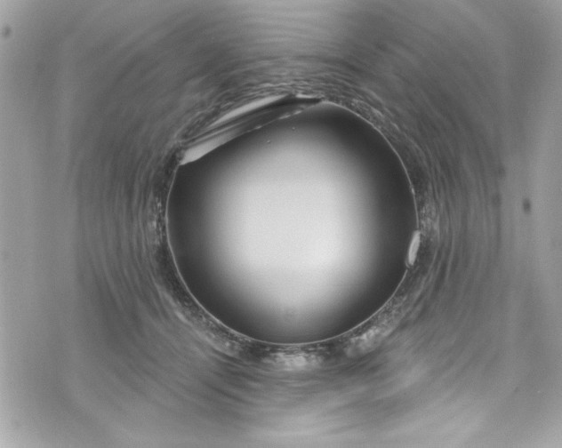 X0000075830464200609291426