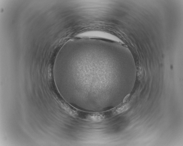 X0000075830466200609291426