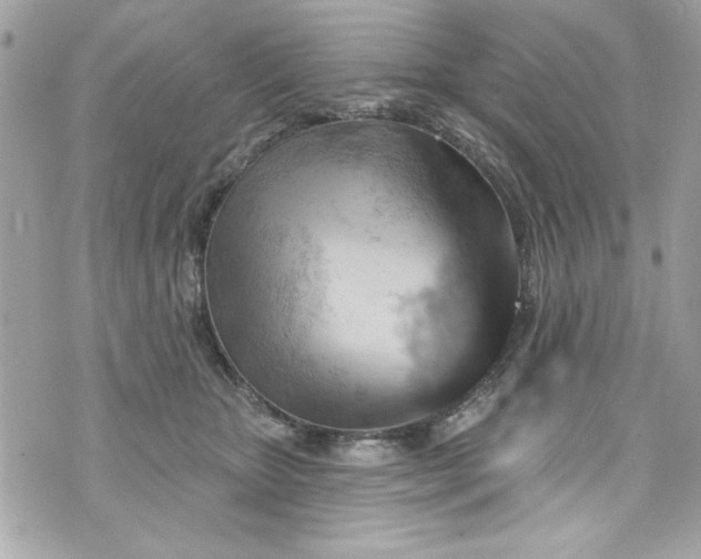 X0000075830467200609291426