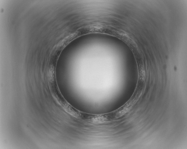 X0000075830468200609291426