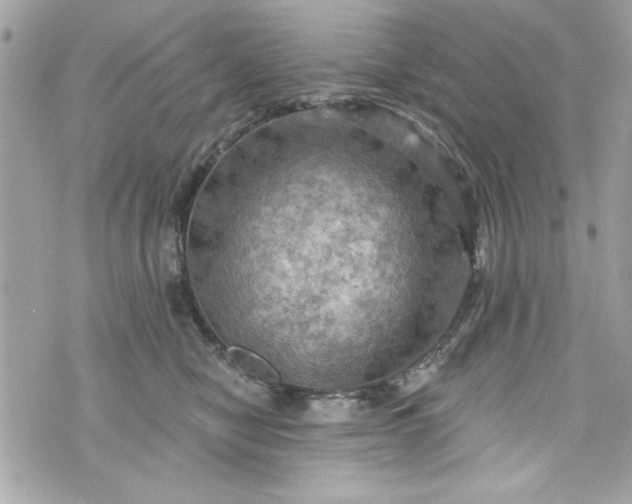 X0000075830470200609291426