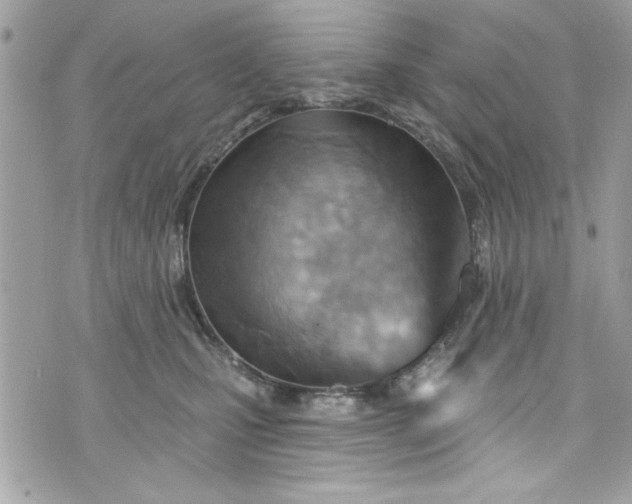 X0000075830471200609291426