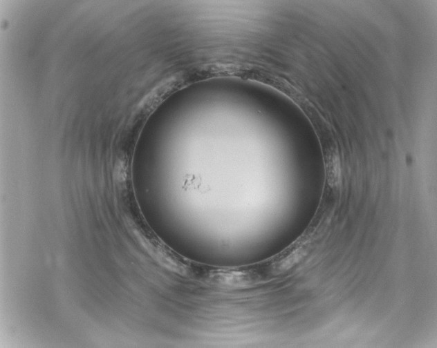 X0000075830472200609291426