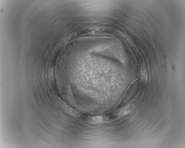 X0000075830473200609291426