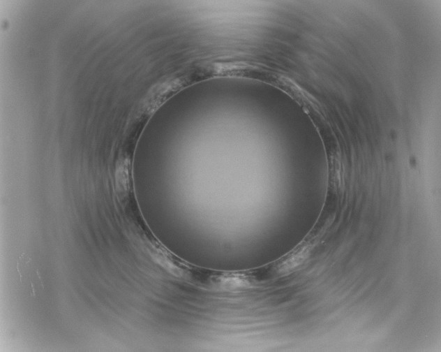 X0000075830475200609291426