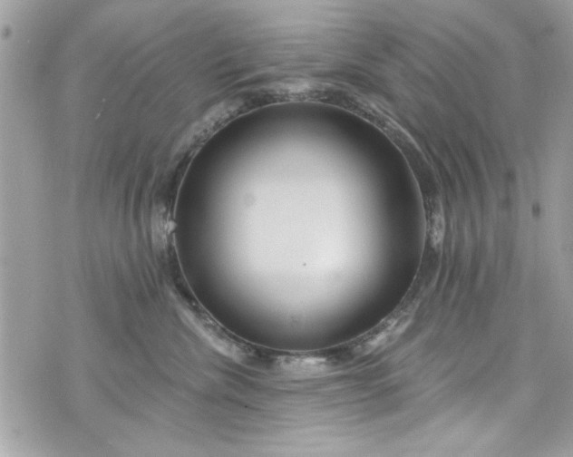 X0000075830476200609291426