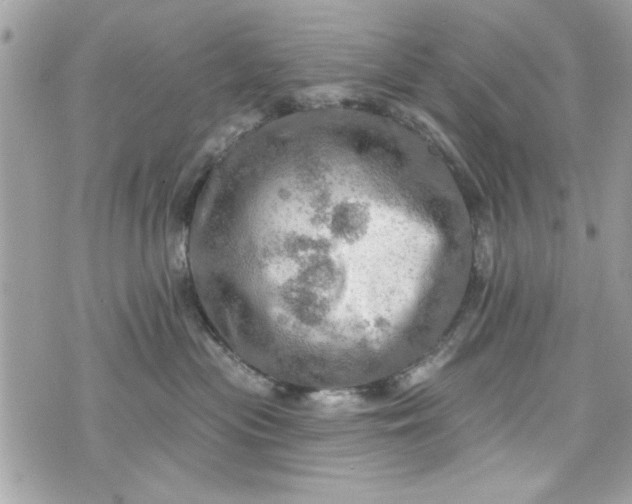 X0000075830477200609291426