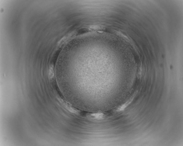 X0000075830478200609291426