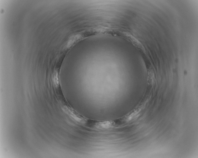 X0000075830479200609291426