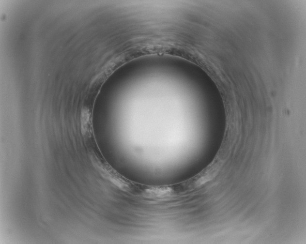 X0000075830480200609291426