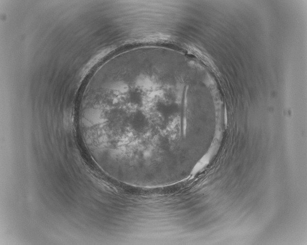 X0000075830483200609291426