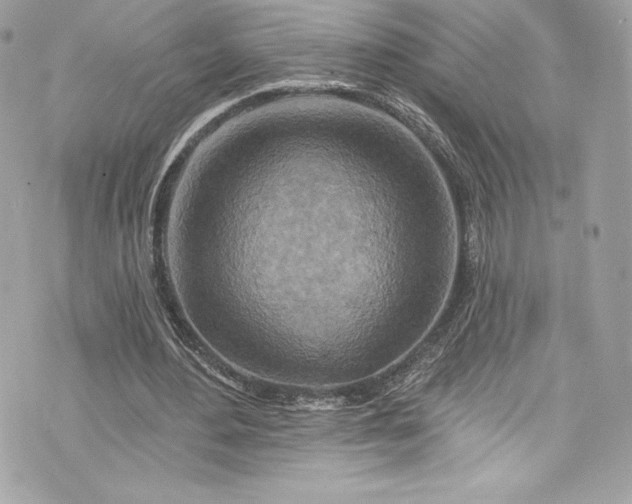 X0000075830484200609291426