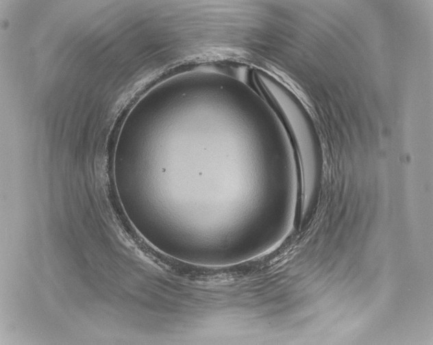 X0000075830485200609291426