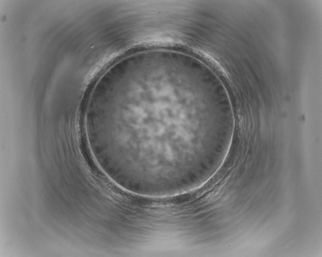 X0000075830487200609291426