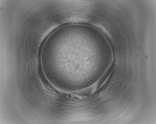 X0000075830488200609291426