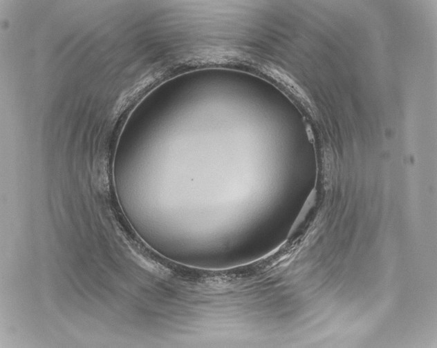 X0000075830489200609291426