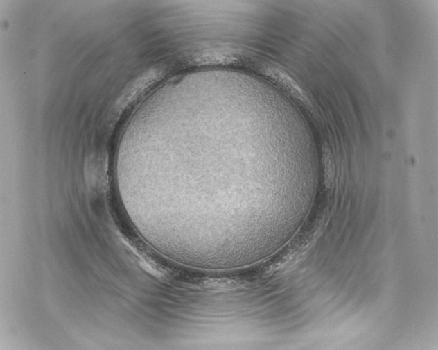 X0000075830490200609291426