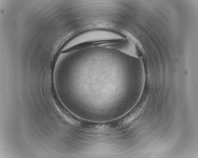 X0000075830493200609291425