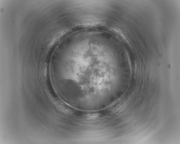 X0000075830495200609291425