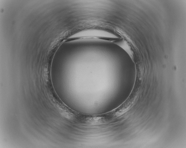 X0000075830497200609291425