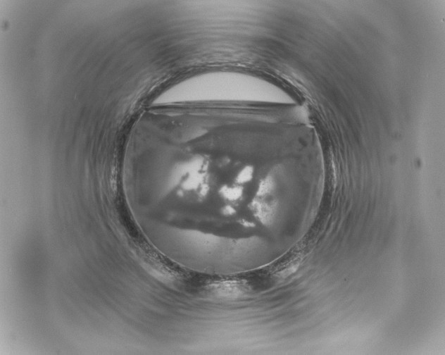 X0000075830499200609291425