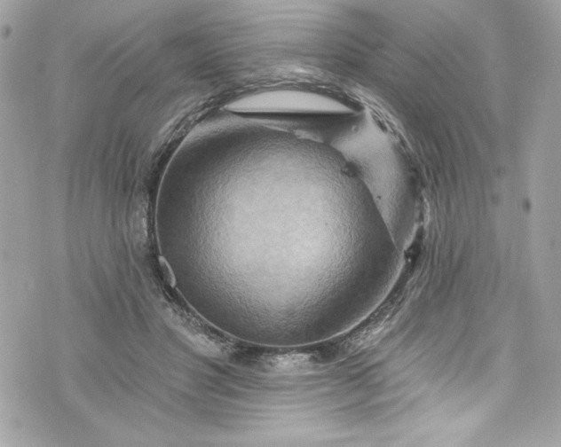 X0000075830501200609291425